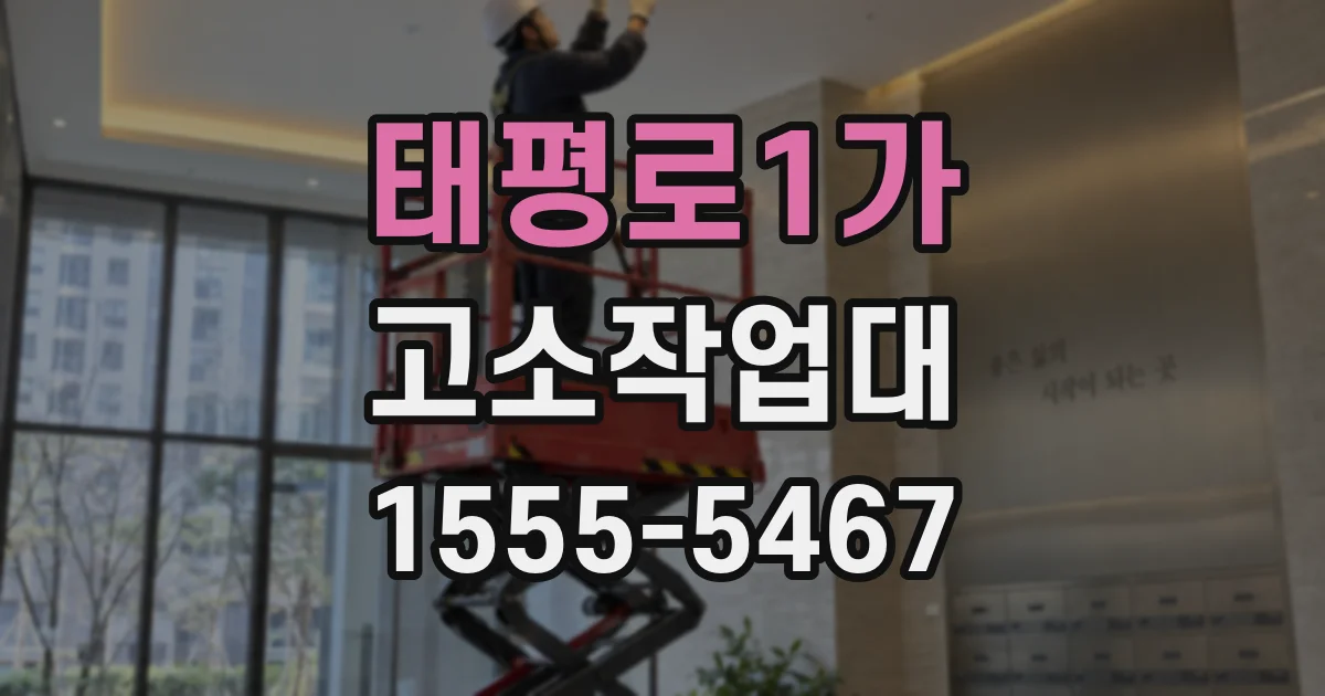 태평로1가 고소작업대