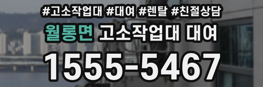 월롱면 고소작업대 대여