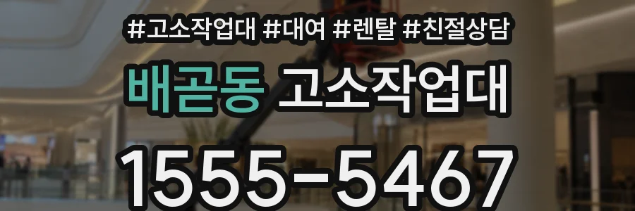 배곧동 고소작업대