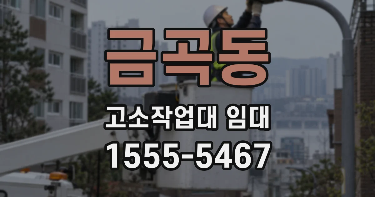 금곡동 고소작업대 임대