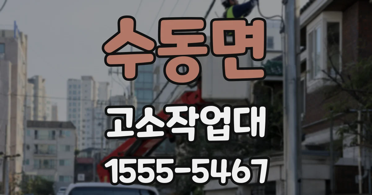 수동면 고소작업대