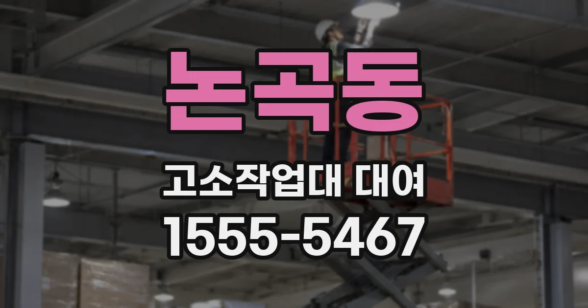 논곡동 고소작업대 대여