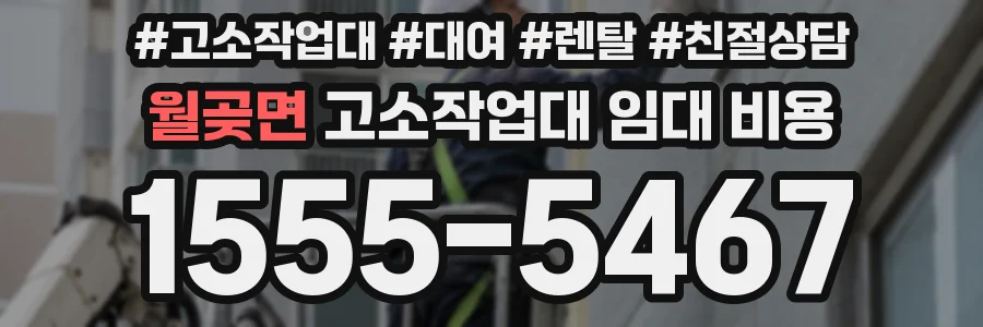 월곶면 고소작업대 임대 비용