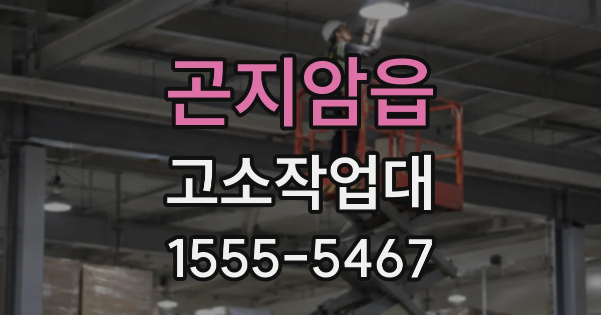 곤지암읍 고소작업대