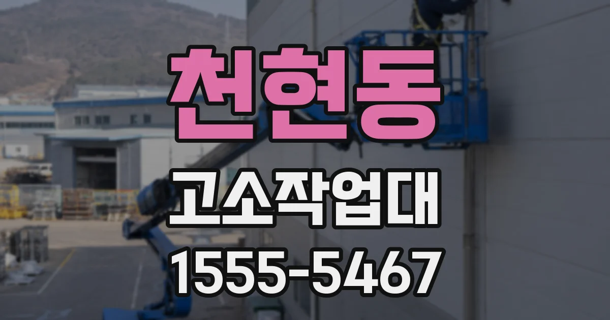 천현동 고소작업대