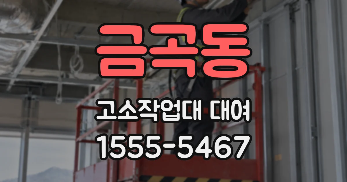 금곡동 고소작업대 대여