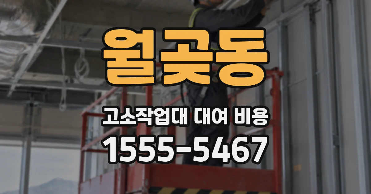 월곶동 고소작업대 대여 비용