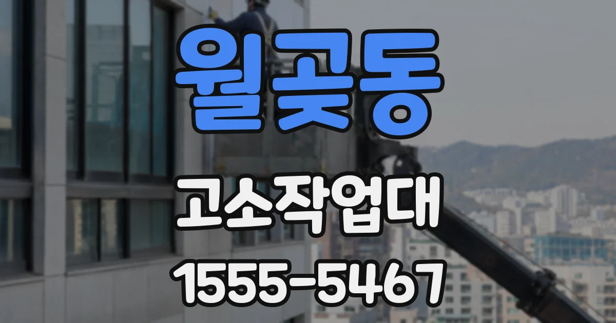 월곶동 고소작업대