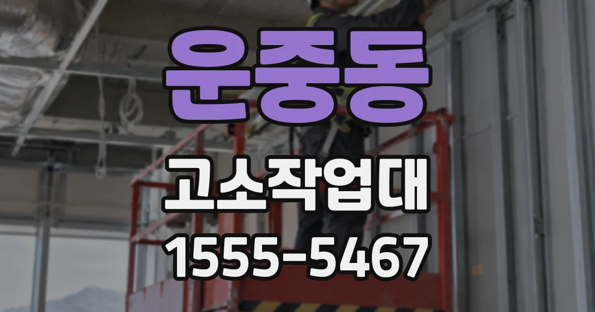 운중동 고소작업대