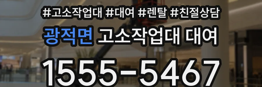 광적면 고소작업대 대여