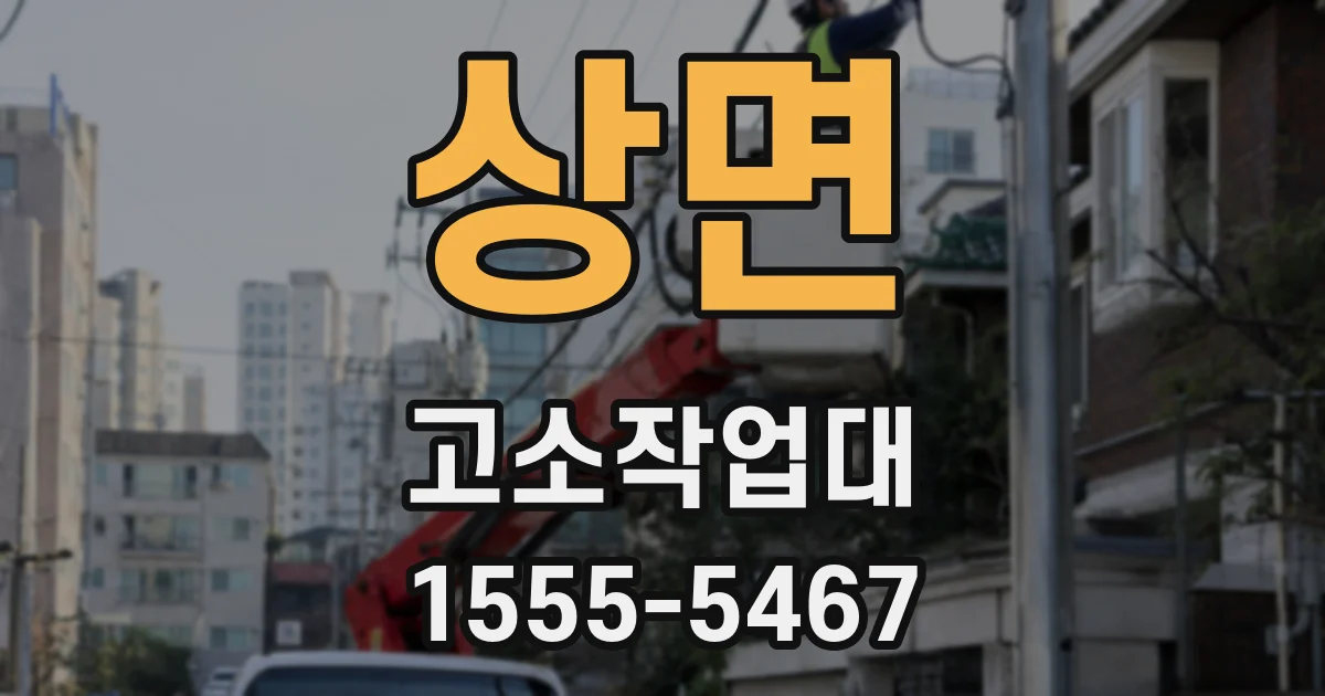 상면 고소작업대