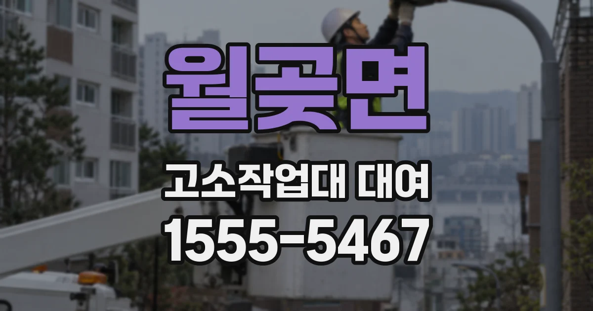 월곶면 고소작업대 대여