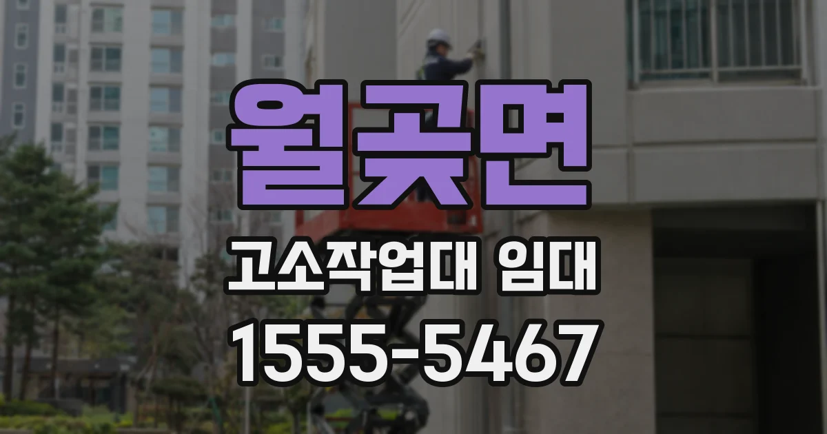 월곶면 고소작업대 임대