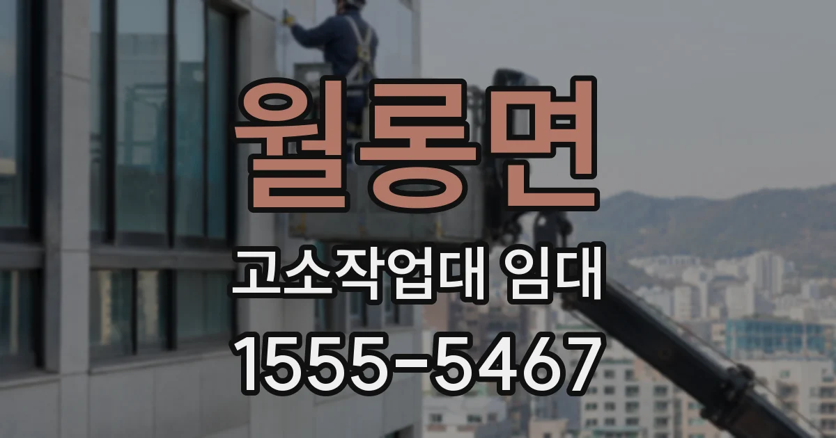 월롱면 고소작업대 임대