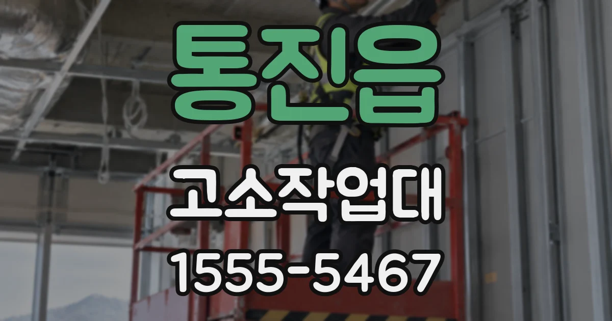 통진읍 고소작업대