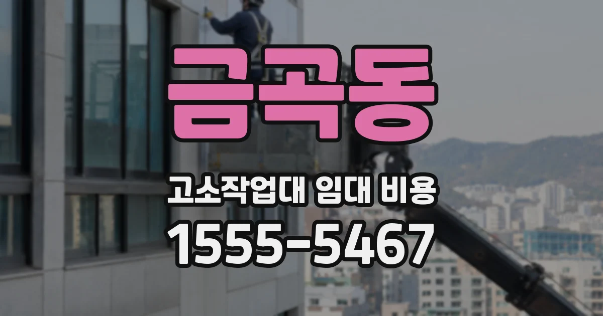 금곡동 고소작업대 임대 비용