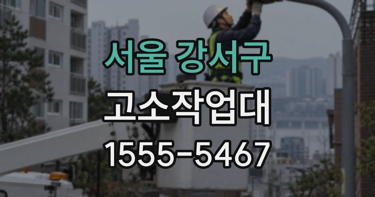 서울 강서구 고소작업대