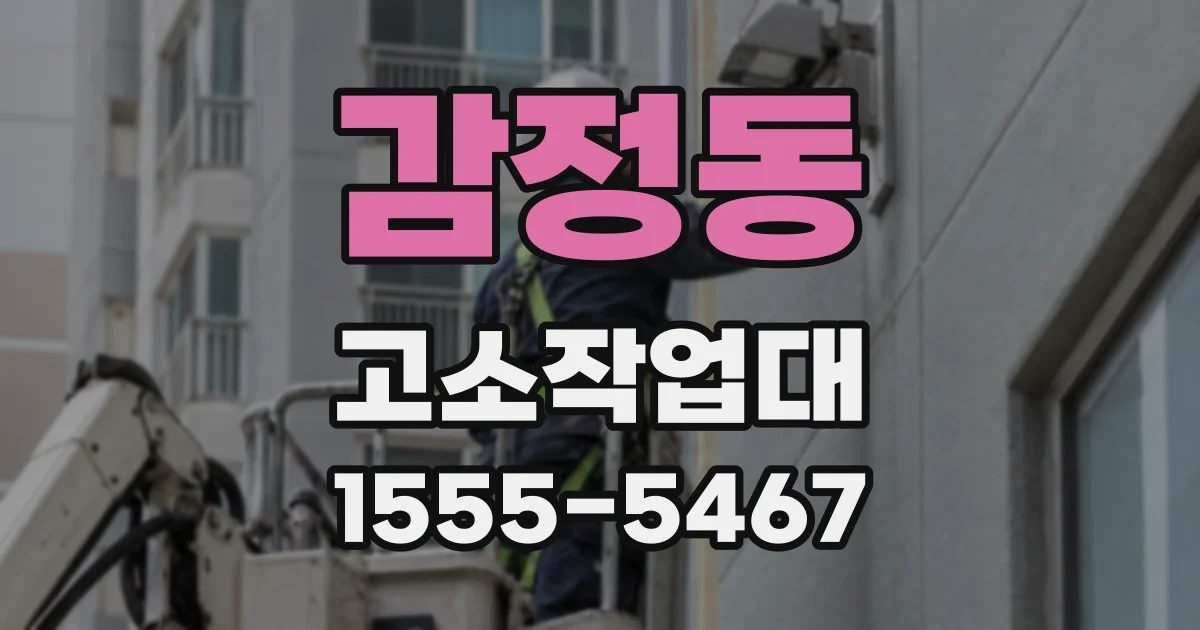 감정동 고소작업대