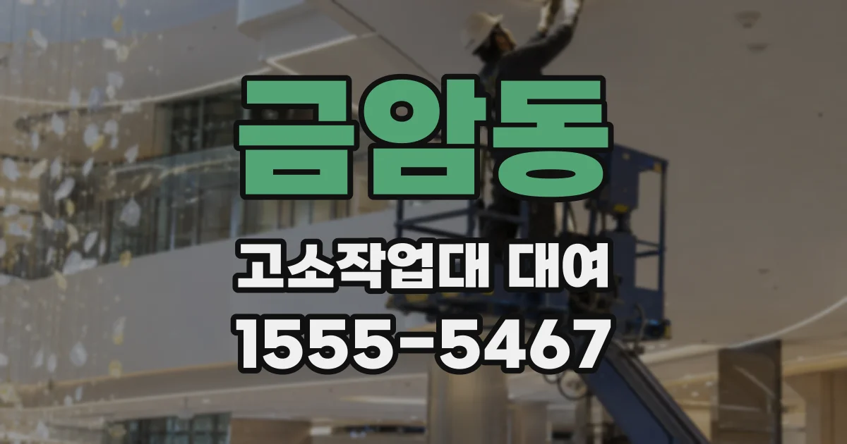 금암동 고소작업대 대여