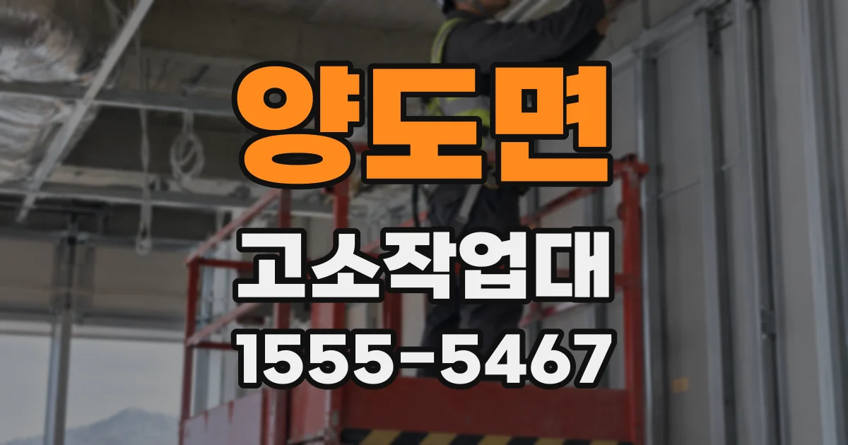 양도면 고소작업대
