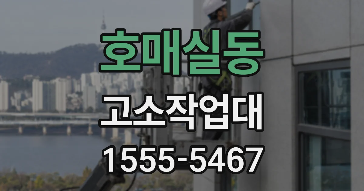 호매실동 고소작업대