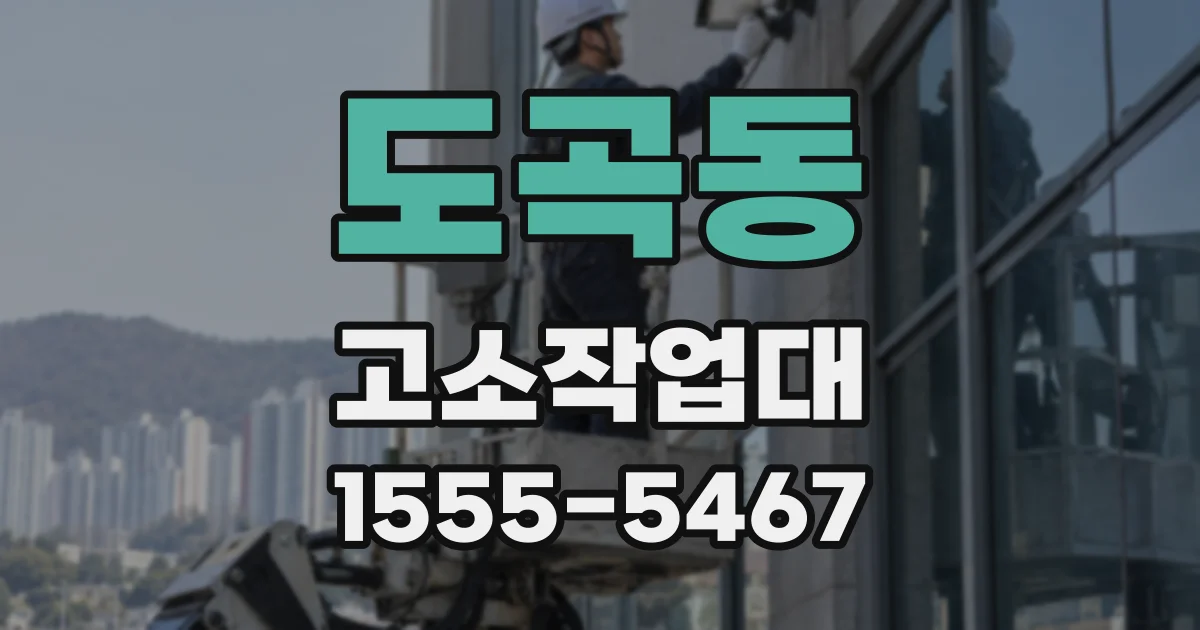 도곡동 고소작업대