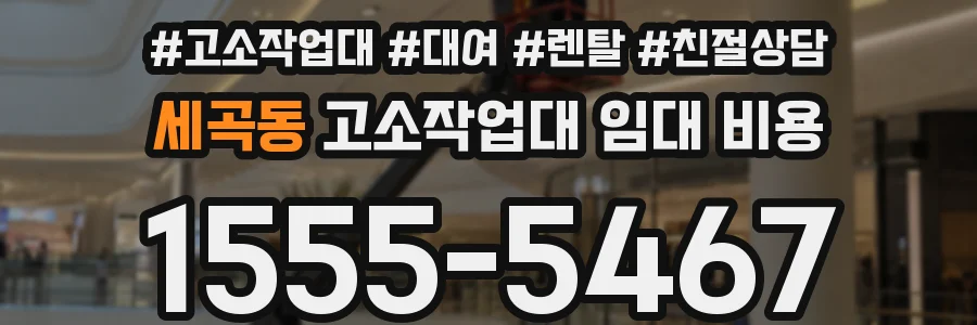세곡동 고소작업대 임대 비용