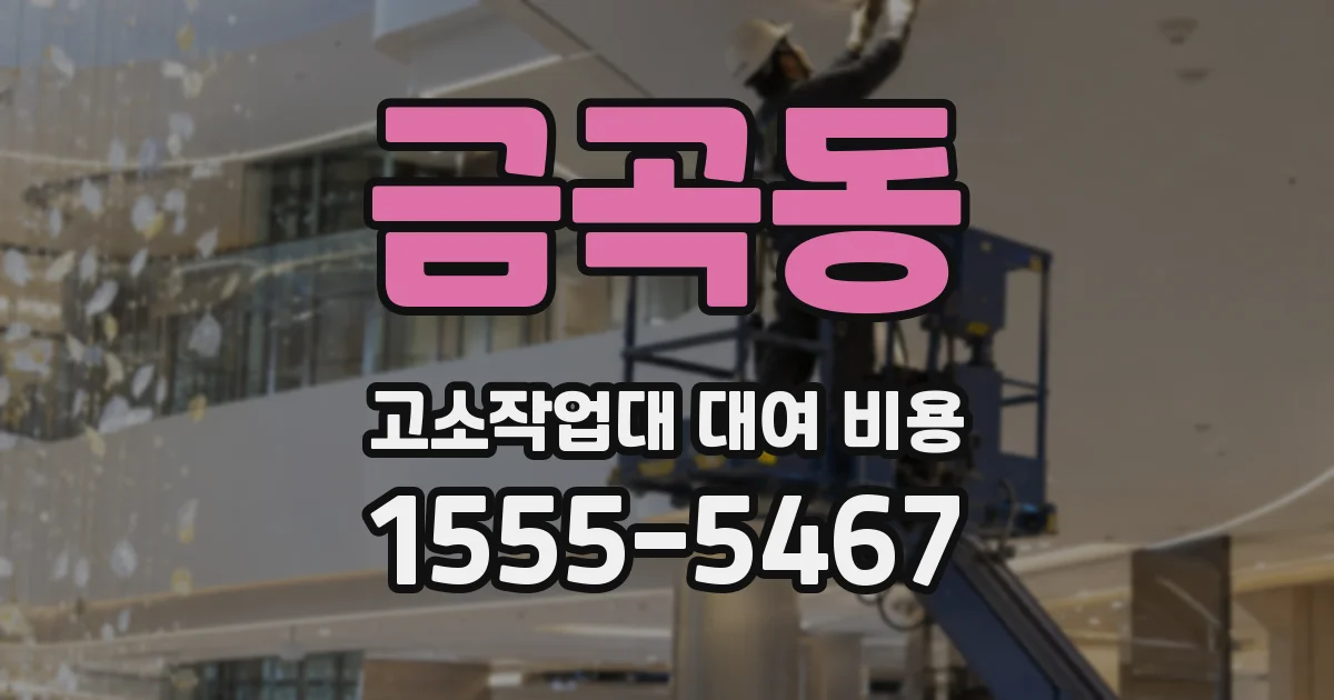 금곡동 고소작업대 대여 비용