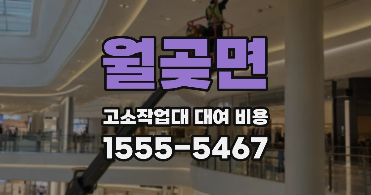 월곶면 고소작업대 대여 비용