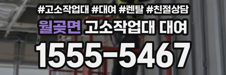 월곶면 고소작업대 대여