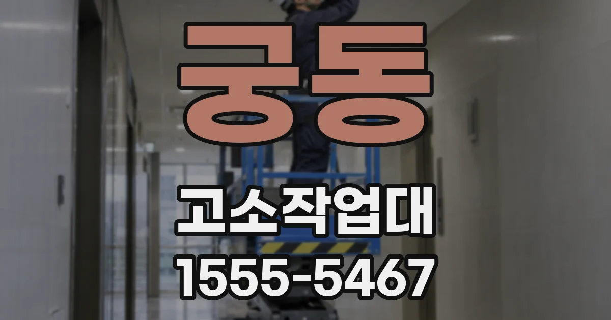 궁동 고소작업대