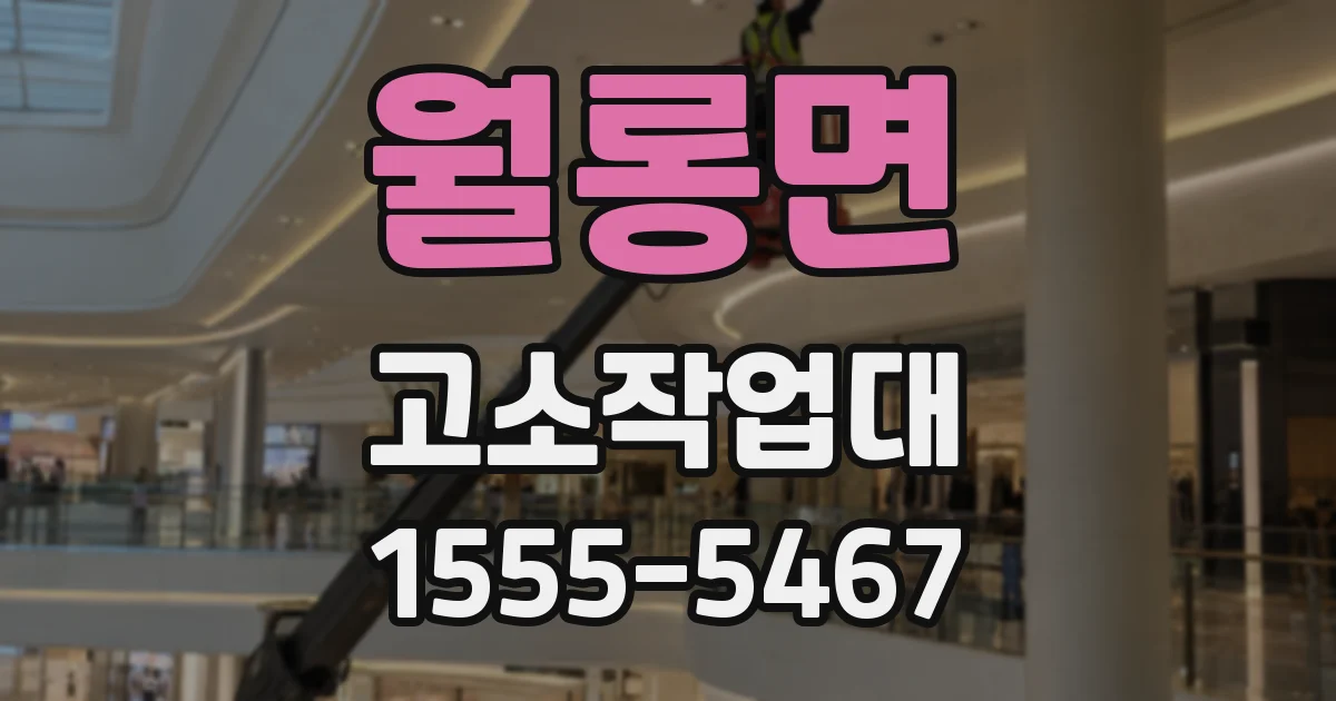 월롱면 고소작업대