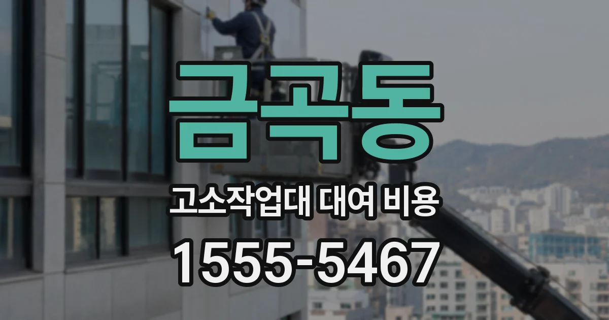 금곡동 고소작업대 대여 비용