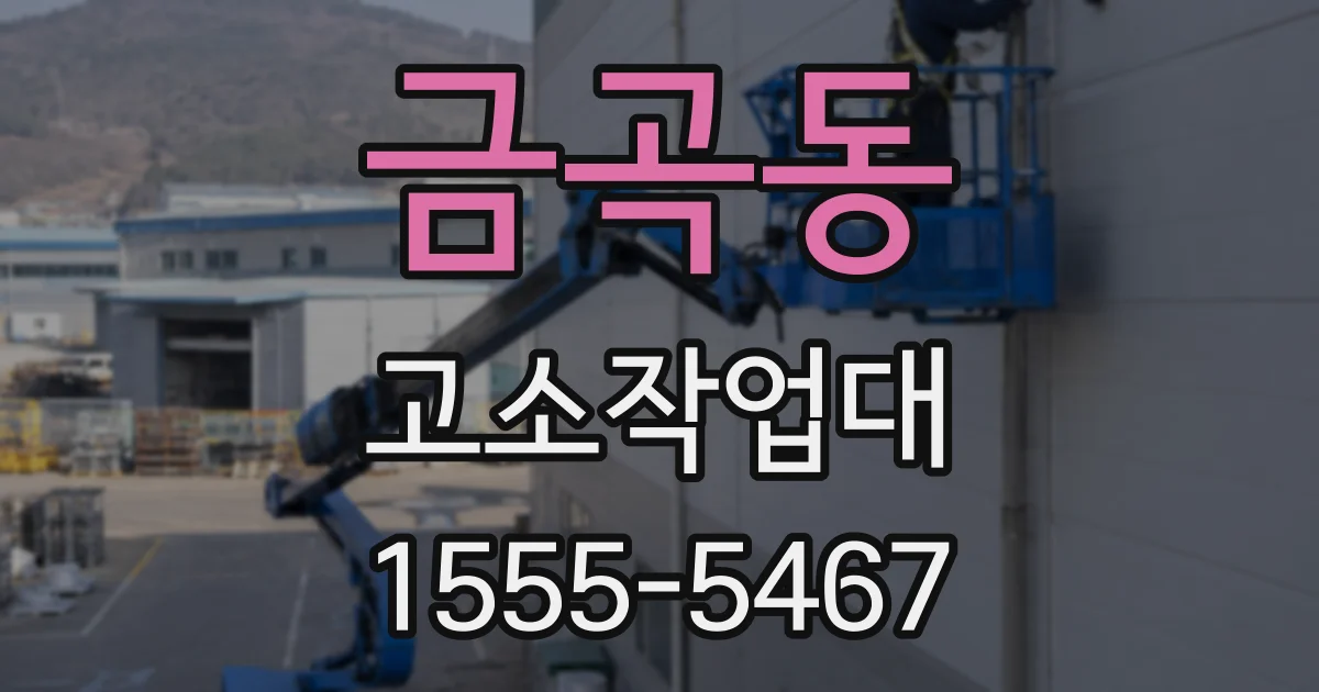 금곡동 고소작업대
