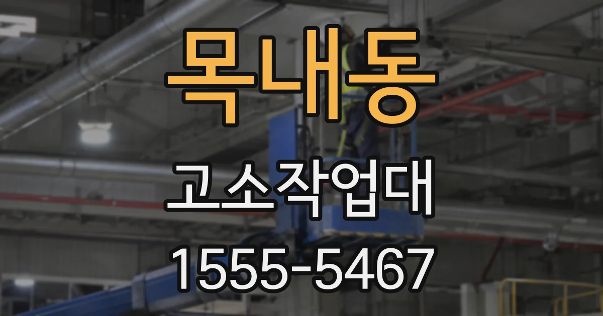 목내동 고소작업대