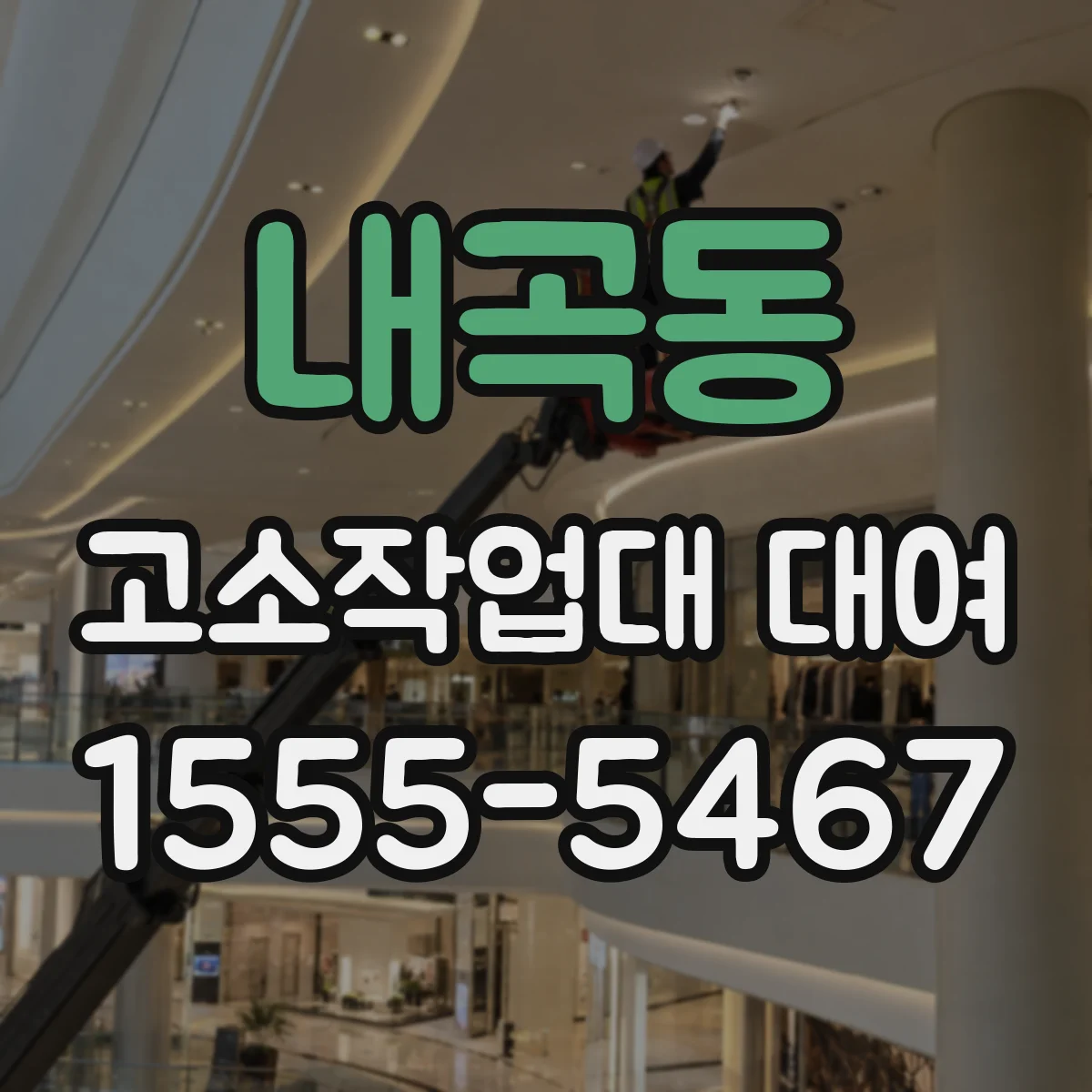 내곡동 고소작업대 대여