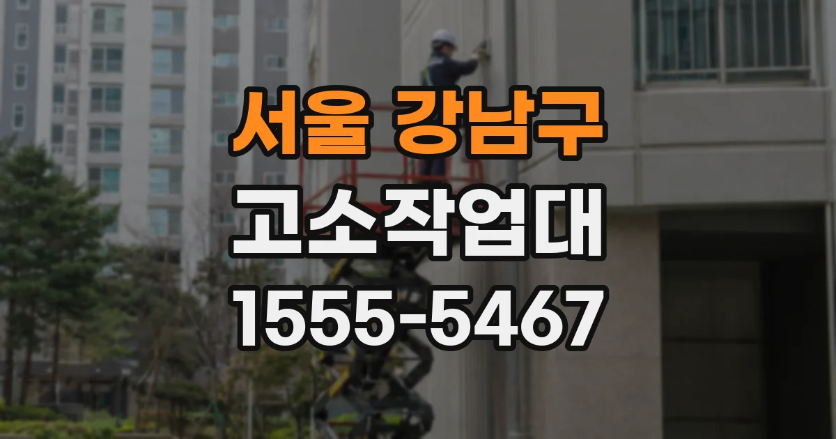 서울 강남구 고소작업대