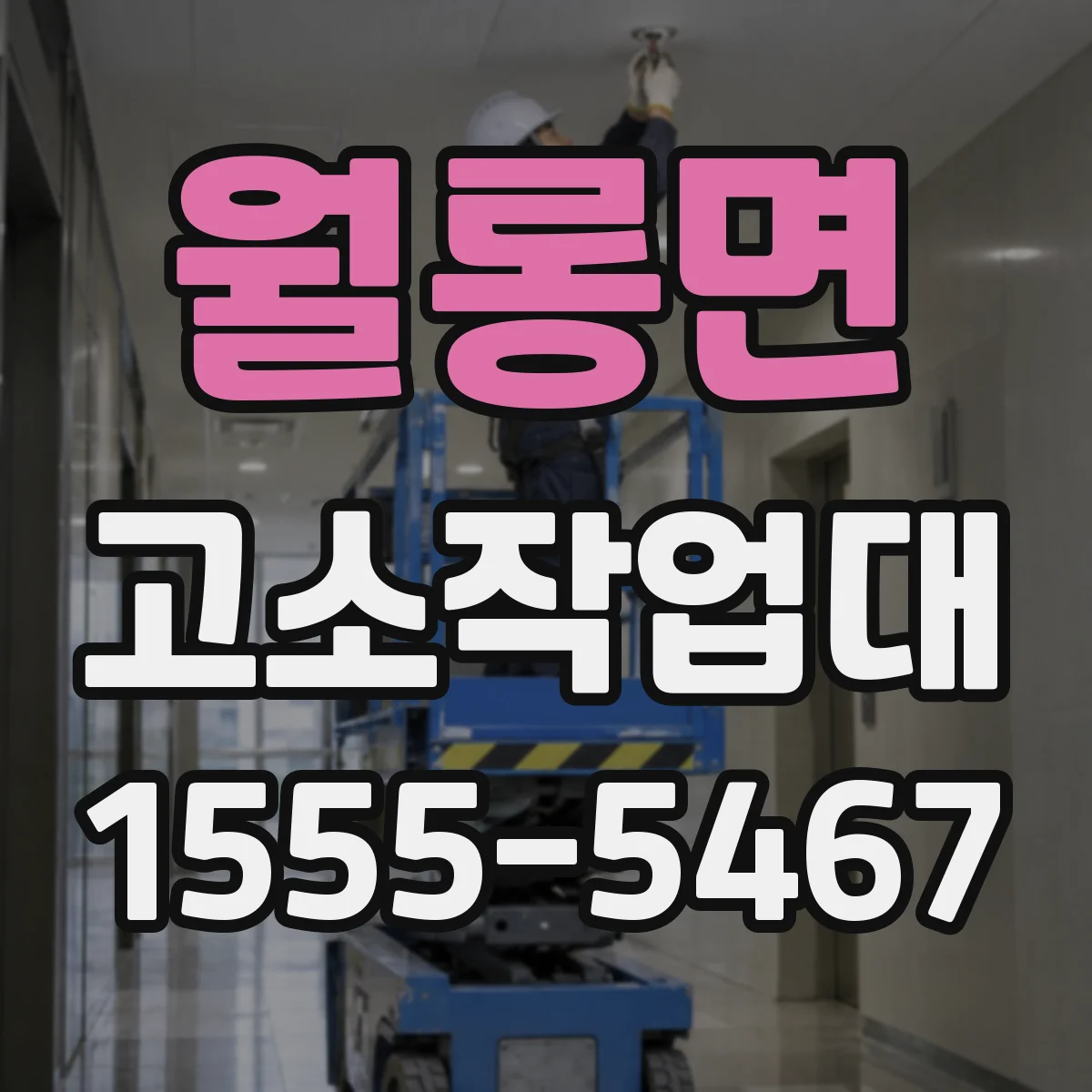 월롱면 고소작업대