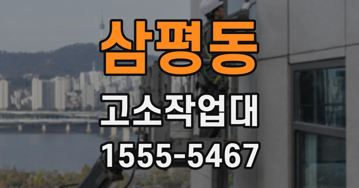 삼평동 고소작업대