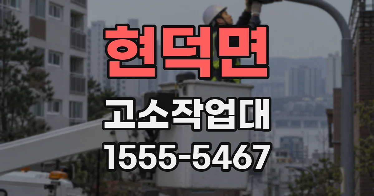 현덕면 고소작업대