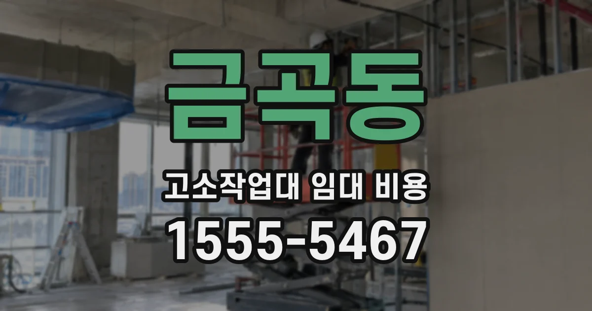 금곡동 고소작업대 임대 비용