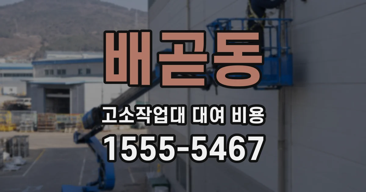 배곧동 고소작업대 대여 비용