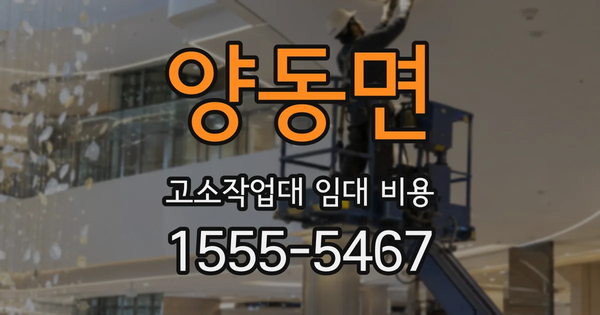 양동면 고소작업대 임대 비용