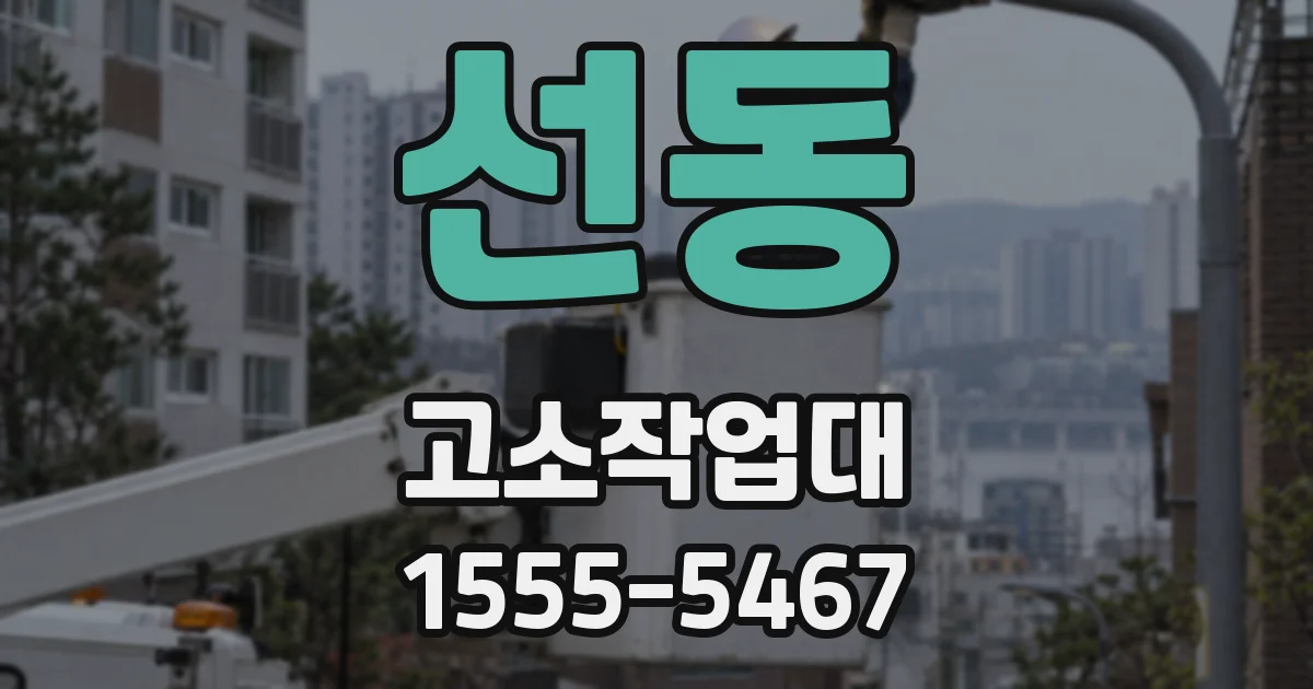 선동 고소작업대