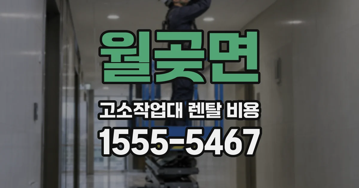 월곶면 고소작업대 렌탈 비용