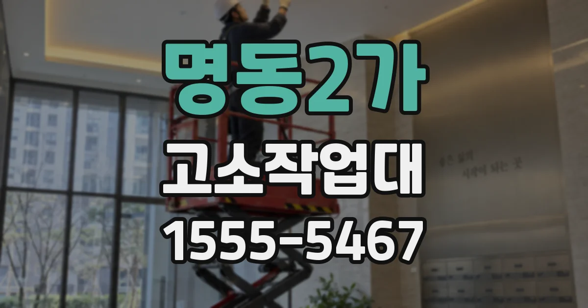 명동2가 고소작업대