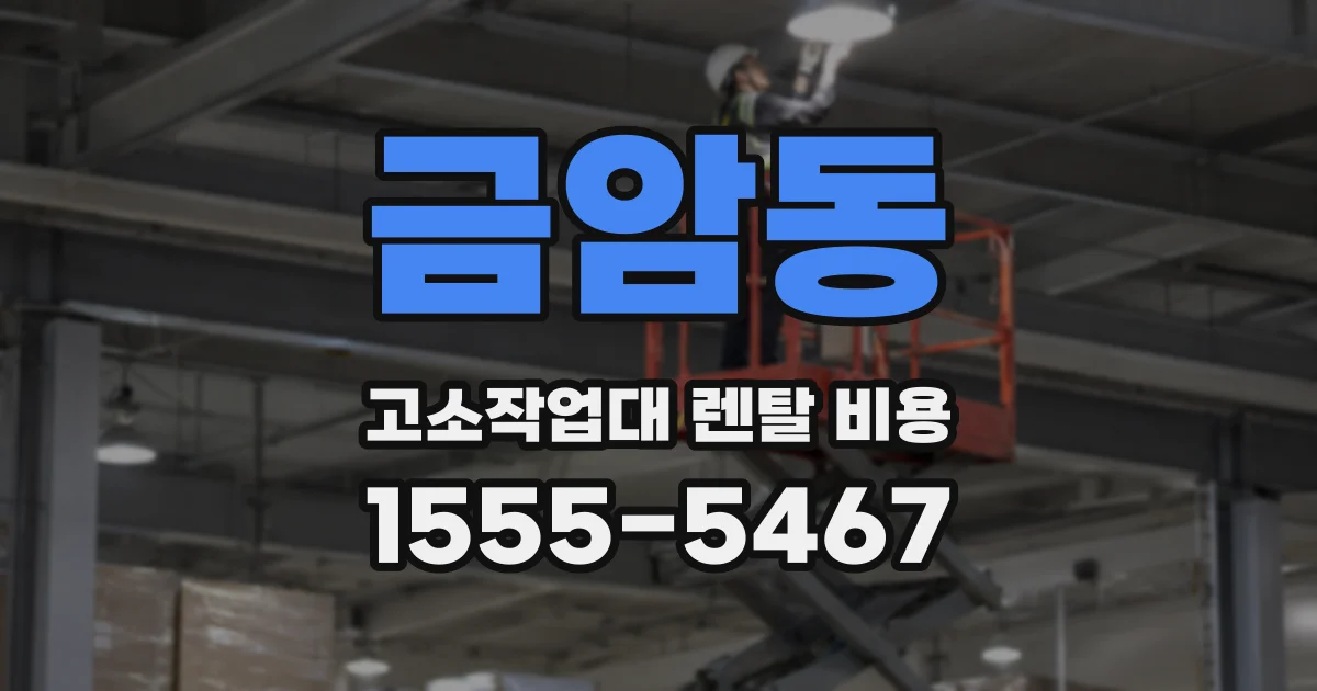 금암동 고소작업대 렌탈 비용