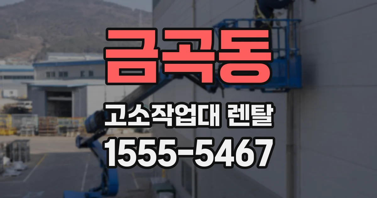 금곡동 고소작업대 렌탈