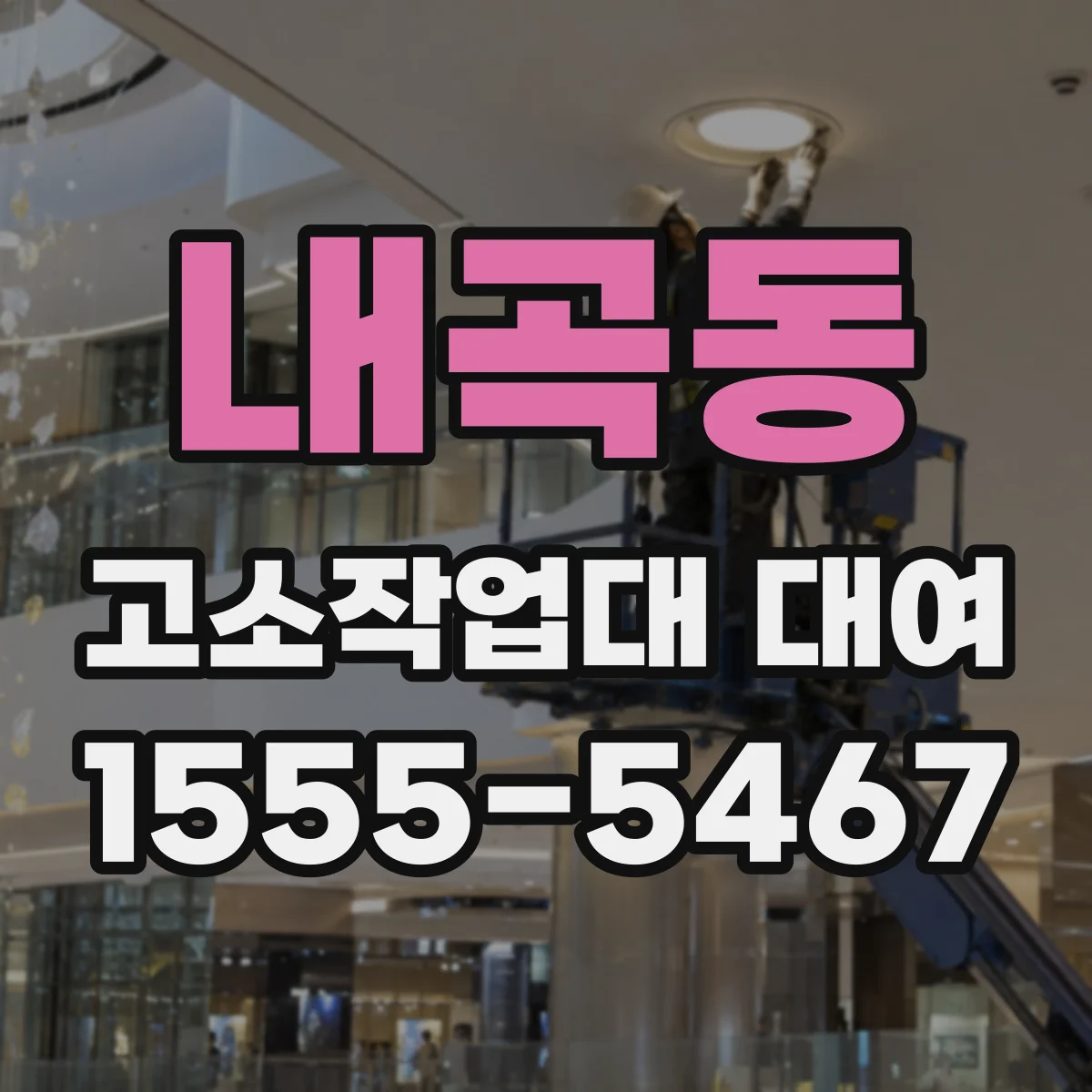 내곡동 고소작업대 대여