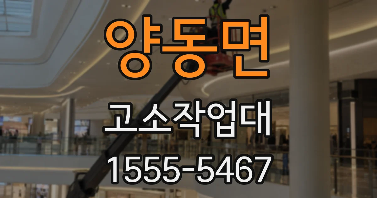 양동면 고소작업대